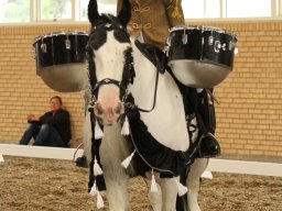 IMG_5456_web